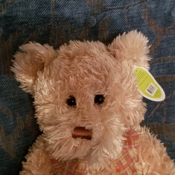 Ultra soft teddy bear, NWT - Picture 2 of 6